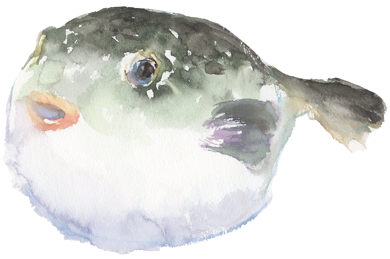 フグ